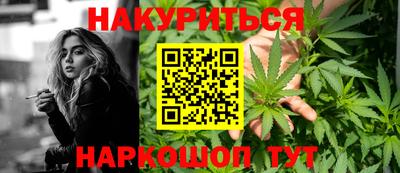 сатива Можайск