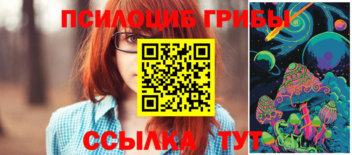 Галлюциногенные грибы Psilocybe Южноуральск
