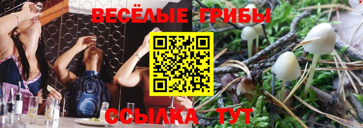 Псилоцибиновые грибы Psilocybe  Вход с VPN  Южноуральск 
